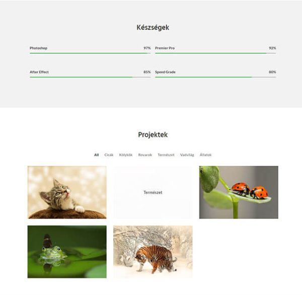 Fotográfus - portfólió jellegű wordpress oldal készítése, tartalmi elem