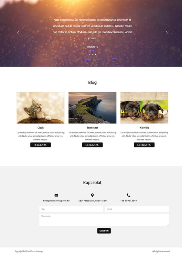 Fotográfus - portfólió jellegű wordpress oldal készítése, tartalmi elem